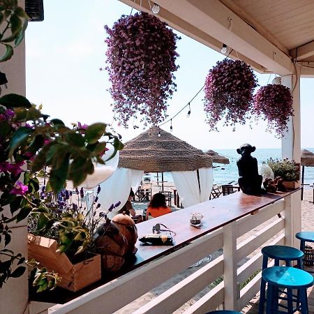 B&B Purple Italy Fiumicino Extérieur photo