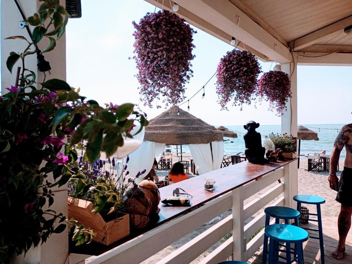 B&B Purple Italy Fiumicino Extérieur photo
